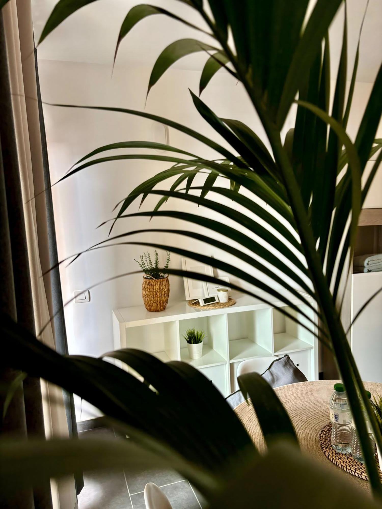 Marina Suites Tenerife Puerto de la Cruz  Extérieur photo