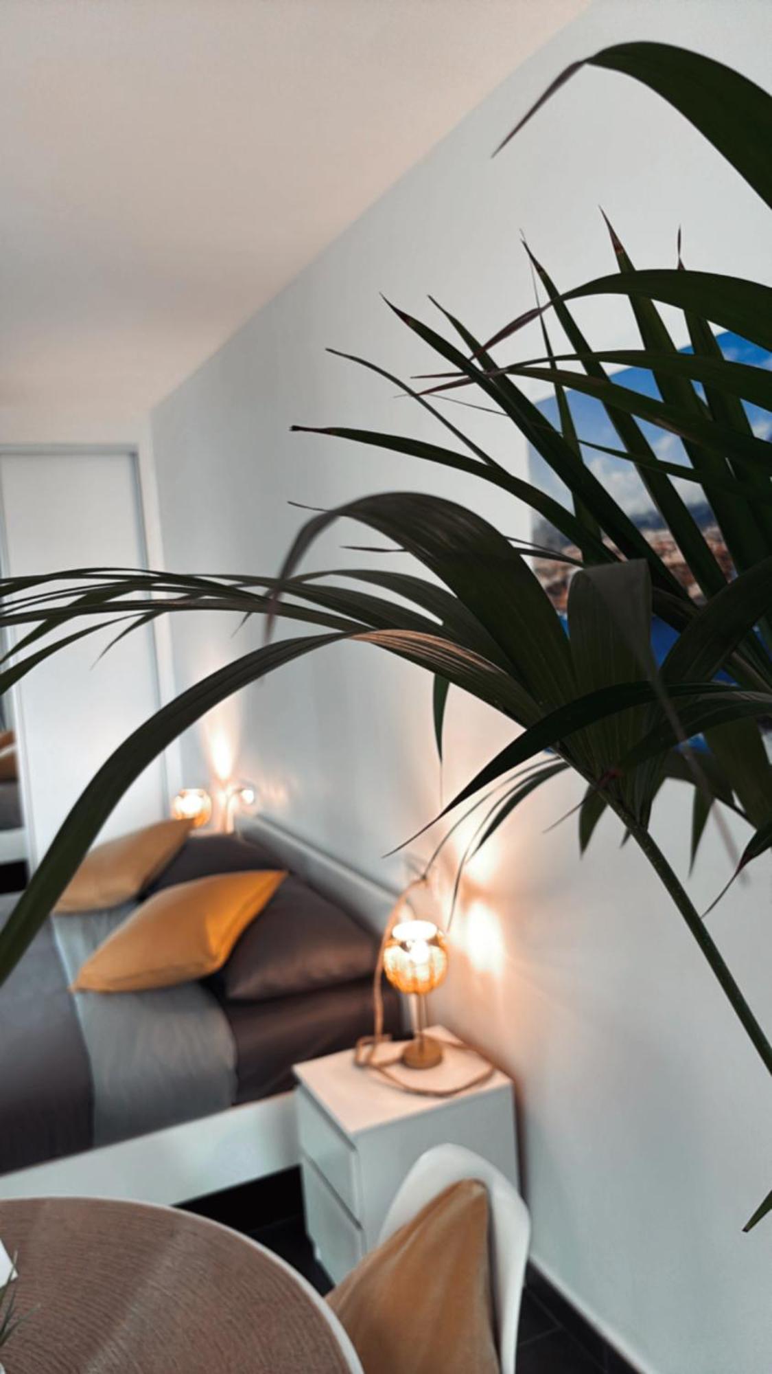Marina Suites Tenerife Puerto de la Cruz  Extérieur photo